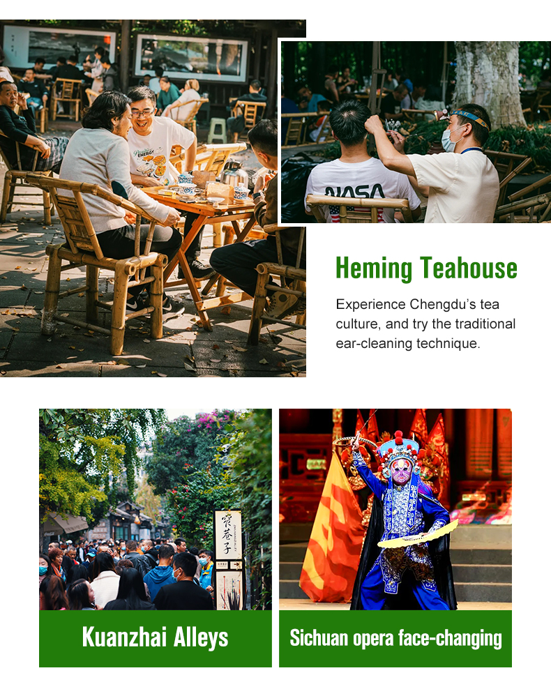 A Complete Guide to Sichuan Travel Service Charter Prices: What Travelers Should Know